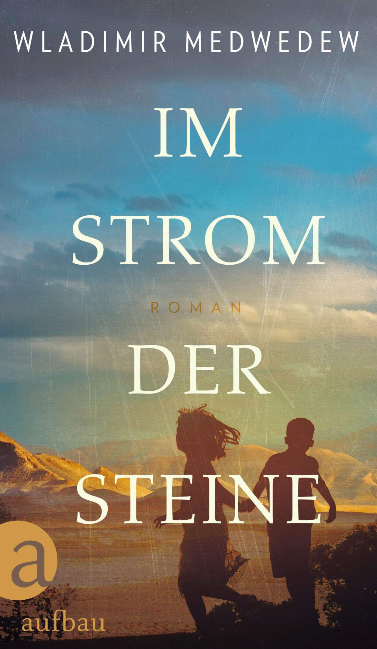 Wladimir Medwedew: Im Strom der Steine