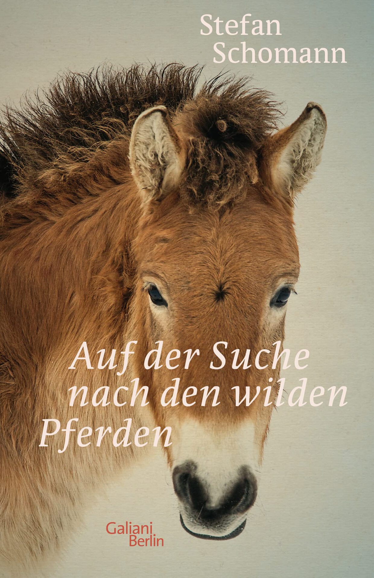 Stefan Schomann: Auf der Suche nach den wilden Pferden