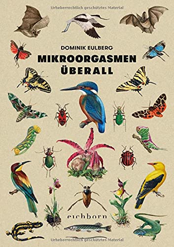 Dominik Eulberg: Mikroorgasmen überall