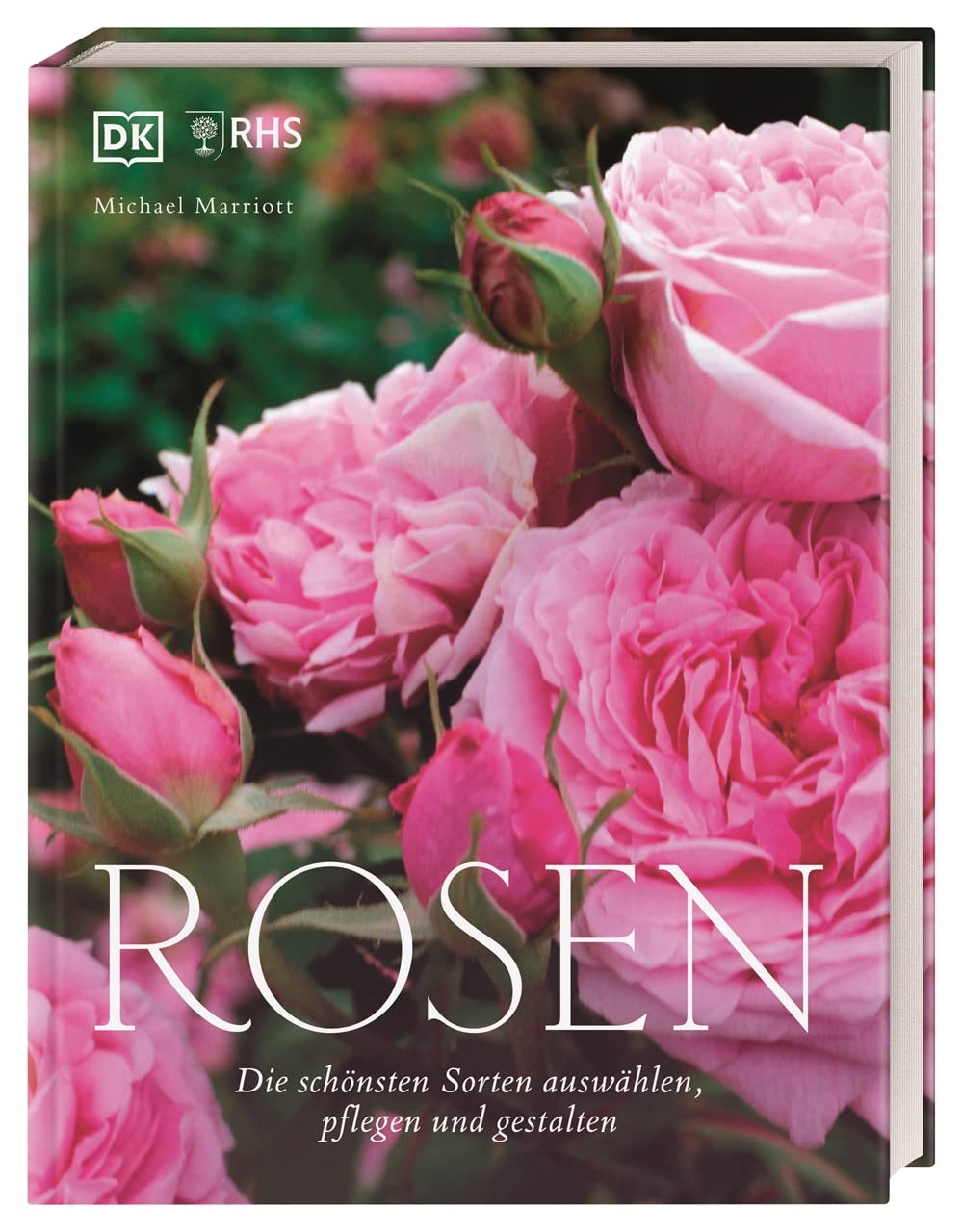 Michael Marriot: Rosen