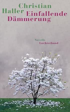 Christian Haller: Einfallende Dämmerung